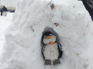 Huggie in his igloo