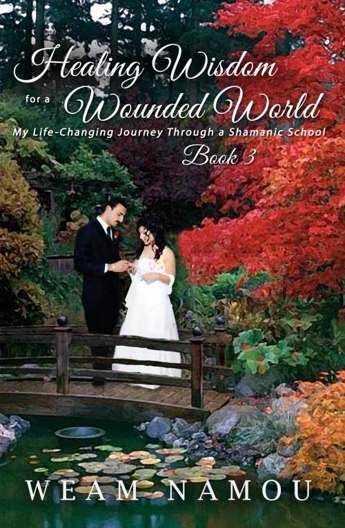 front-cover-of-book-3